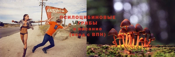 меф Арсеньев